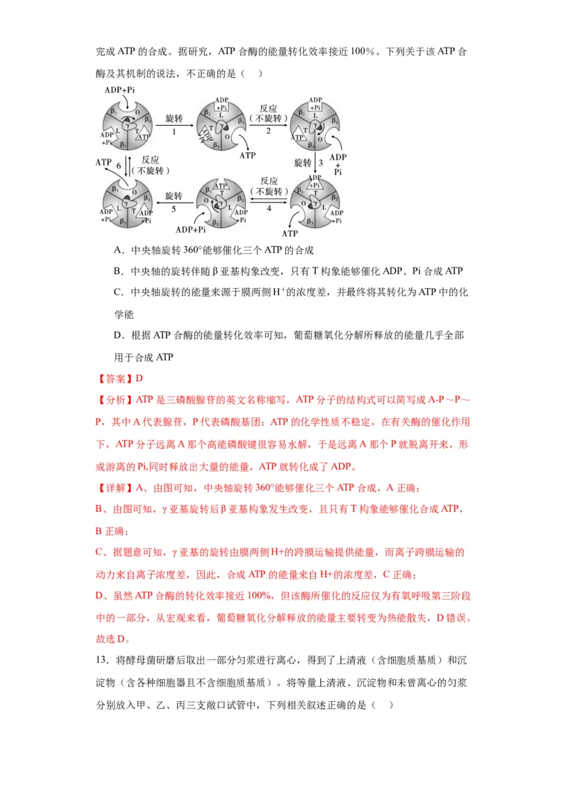 第三单元细胞的代谢（测试卷）（解析版)_2024年新高考资料_3.2024专项复习_备战2024年高考生物一轮复习重难点专项突破