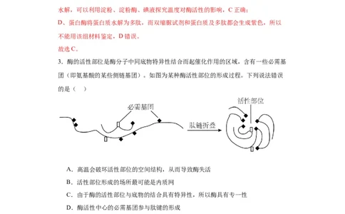 第三单元细胞的代谢（测试卷）（解析版)_2024年新高考资料_3.2024专项复习_备战2024年高考生物一轮复习重难点专项突破