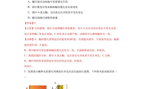 第三单元细胞的代谢（测试卷）（解析版)_2024年新高考资料_3.2024专项复习_备战2024年高考生物一轮复习重难点专项突破