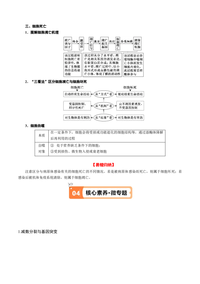 专题03细胞的生命历程（讲义）（原卷版）_新高考复习资料_2024年新高考复习资料_二轮复习资料_高频考点解密2024年高考生物二轮复习高频考点追踪与预测（新高考专用）_讲义
