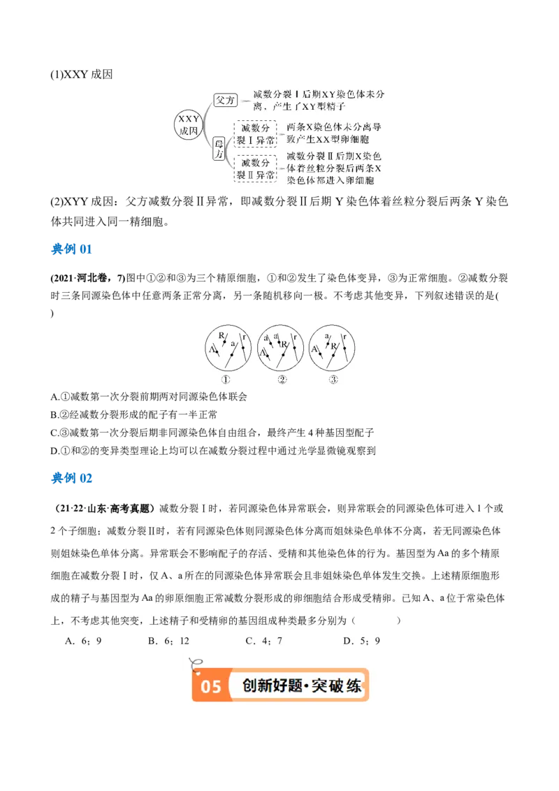 专题03细胞的生命历程（讲义）（原卷版）_新高考复习资料_2024年新高考复习资料_二轮复习资料_高频考点解密2024年高考生物二轮复习高频考点追踪与预测（新高考专用）_讲义