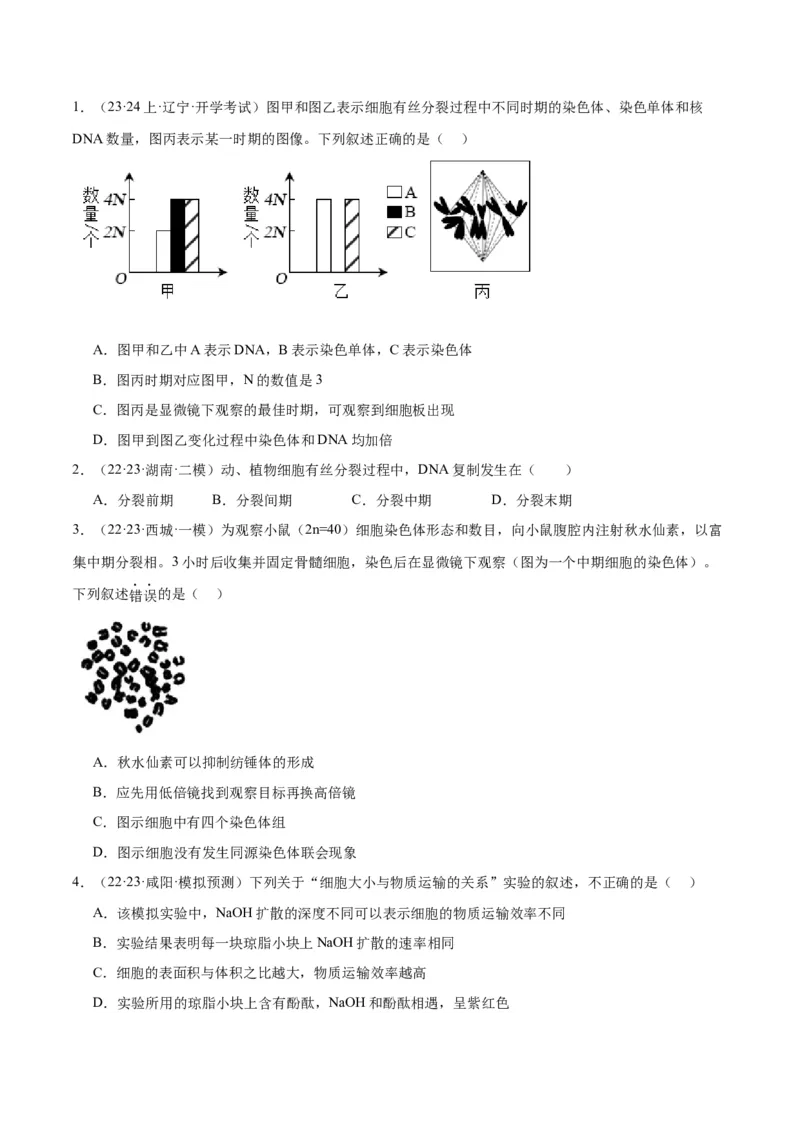 专题03细胞的生命历程（讲义）（原卷版）_新高考复习资料_2024年新高考复习资料_二轮复习资料_高频考点解密2024年高考生物二轮复习高频考点追踪与预测（新高考专用）_讲义