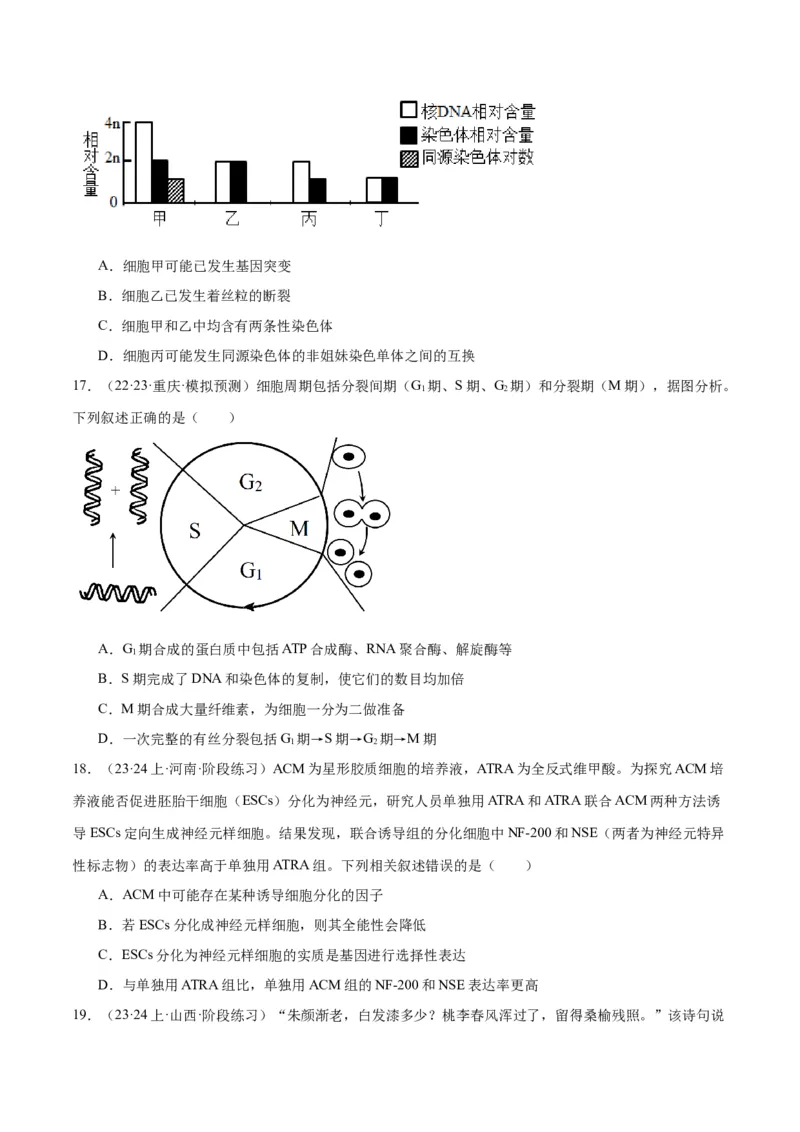 专题03细胞的生命历程（讲义）（原卷版）_新高考复习资料_2024年新高考复习资料_二轮复习资料_高频考点解密2024年高考生物二轮复习高频考点追踪与预测（新高考专用）_讲义