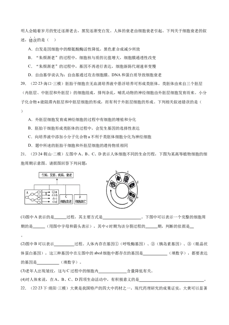 专题03细胞的生命历程（讲义）（原卷版）_新高考复习资料_2024年新高考复习资料_二轮复习资料_高频考点解密2024年高考生物二轮复习高频考点追踪与预测（新高考专用）_讲义
