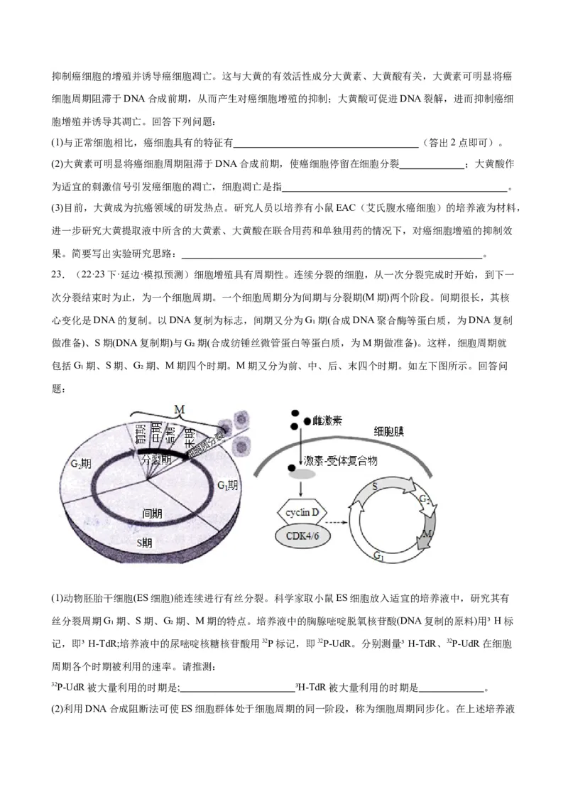 专题03细胞的生命历程（讲义）（原卷版）_新高考复习资料_2024年新高考复习资料_二轮复习资料_高频考点解密2024年高考生物二轮复习高频考点追踪与预测（新高考专用）_讲义