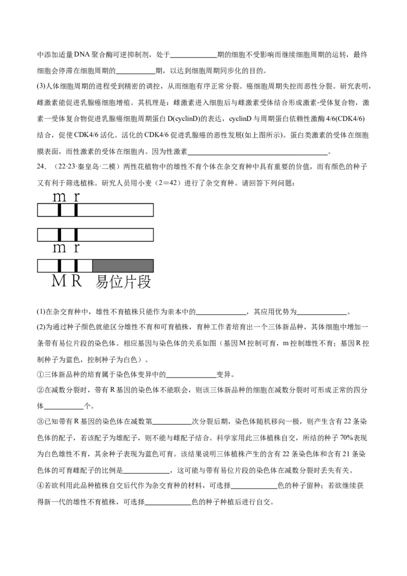 专题03细胞的生命历程（讲义）（原卷版）_新高考复习资料_2024年新高考复习资料_二轮复习资料_高频考点解密2024年高考生物二轮复习高频考点追踪与预测（新高考专用）_讲义