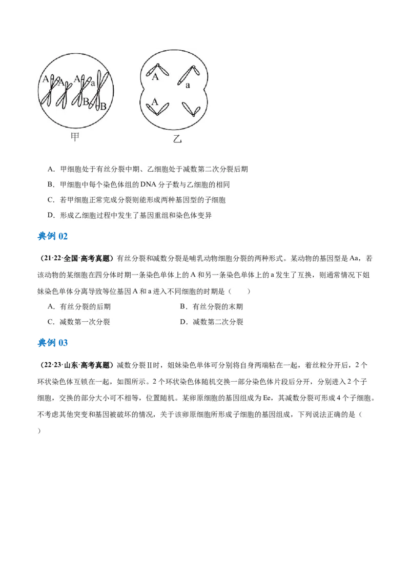 专题03细胞的生命历程（讲义）（原卷版）_新高考复习资料_2024年新高考复习资料_二轮复习资料_高频考点解密2024年高考生物二轮复习高频考点追踪与预测（新高考专用）_讲义