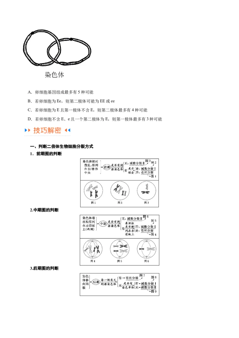专题03细胞的生命历程（讲义）（原卷版）_新高考复习资料_2024年新高考复习资料_二轮复习资料_高频考点解密2024年高考生物二轮复习高频考点追踪与预测（新高考专用）_讲义