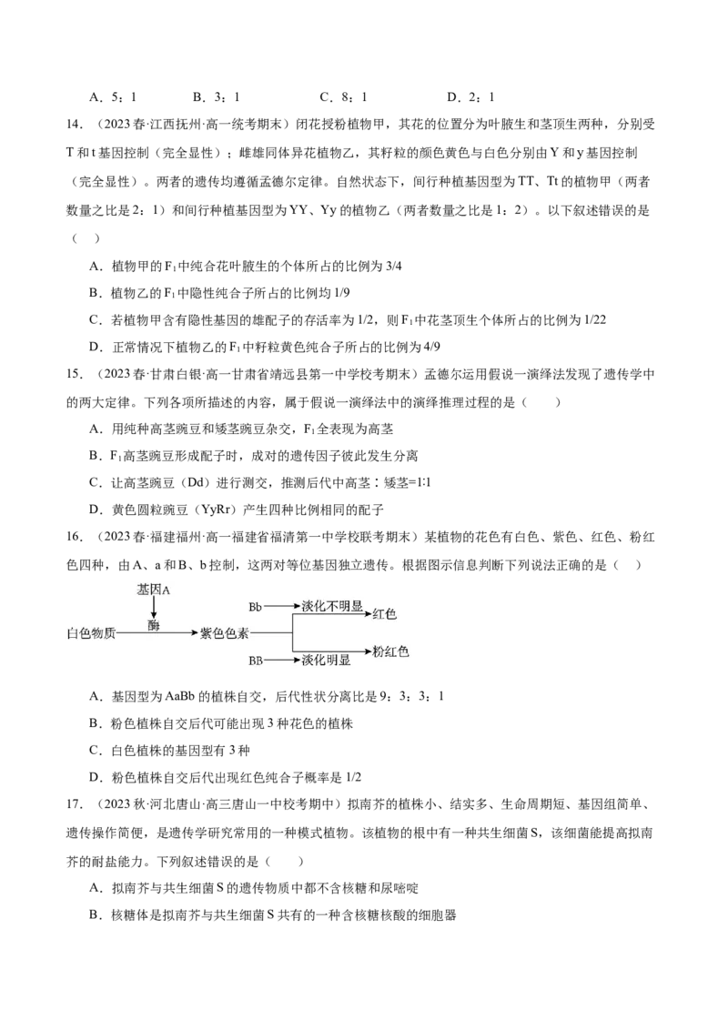 第五单元基因的传递规律（测试）（原卷版）_2024年新高考资料_1.2024一轮复习_2024年高考生物一轮复习讲练测（新教材新高考）