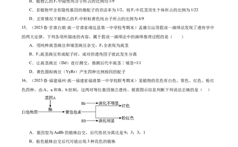 第五单元基因的传递规律（测试）（原卷版）_2024年新高考资料_1.2024一轮复习_2024年高考生物一轮复习讲练测（新教材新高考）