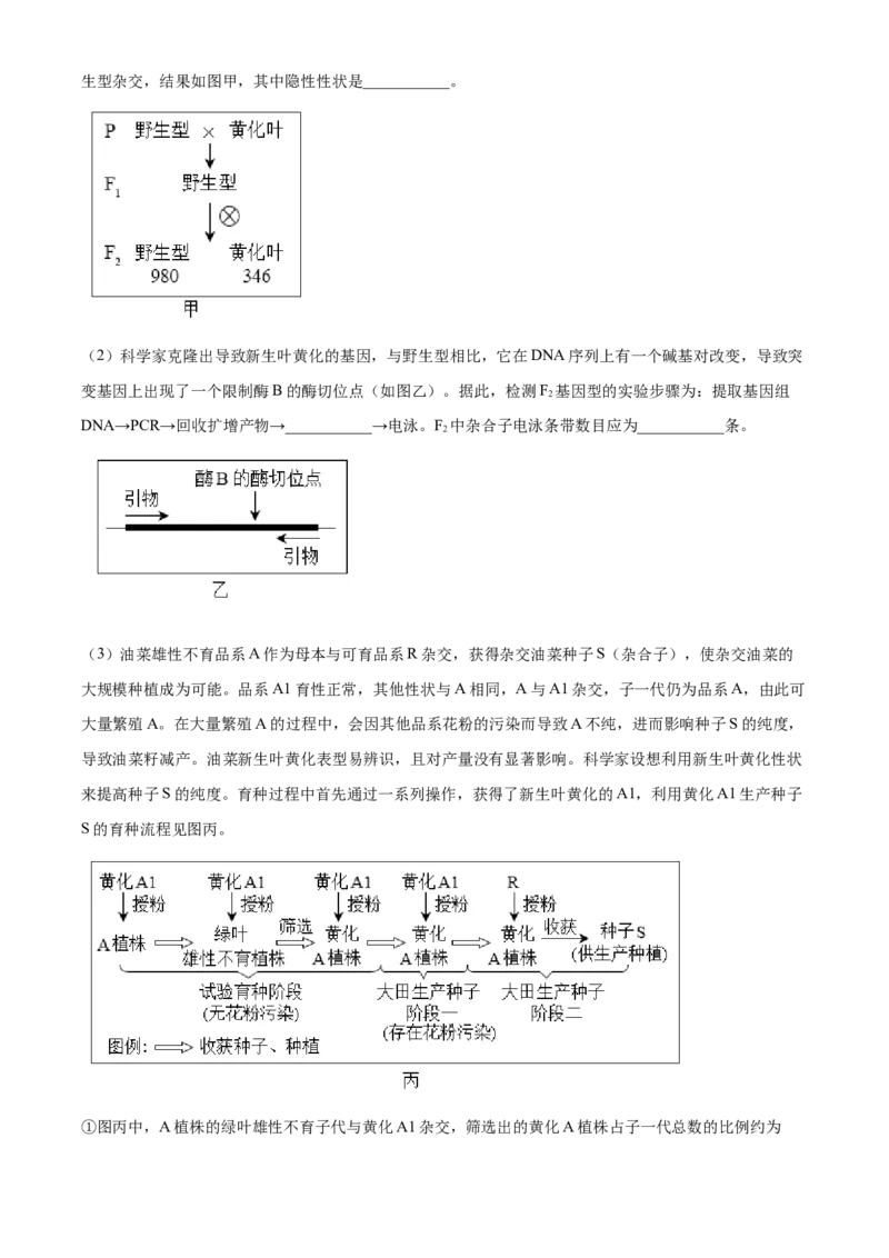 2023年高考生物试卷（北京）（空白卷）_北京市高考历年真题_生物