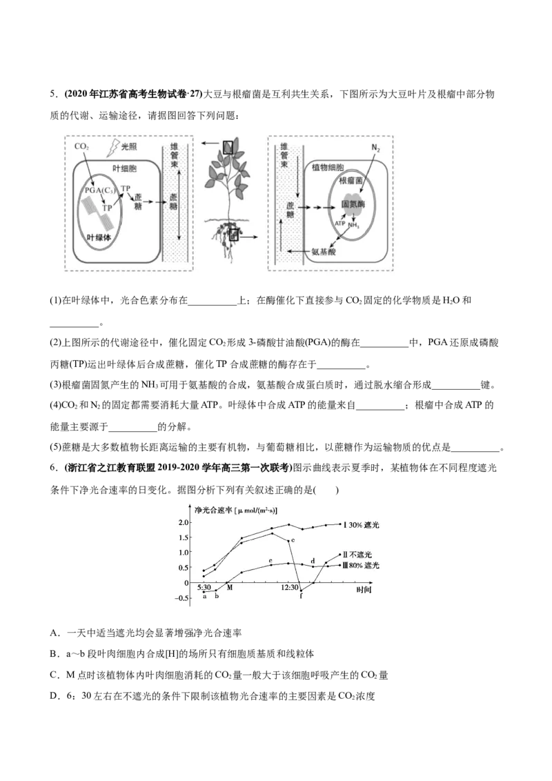 专题04光合作用-2020年高考真题和模拟题生物分项汇编（学生版）_新高考复习资料_2022年新高考复习资料_2022年一轮复习最新版_1.2022年高考生物一轮复习全国通用版