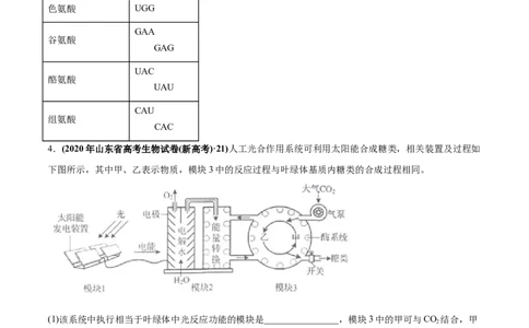 专题04光合作用-2020年高考真题和模拟题生物分项汇编（学生版）_新高考复习资料_2022年新高考复习资料_2022年一轮复习最新版_1.2022年高考生物一轮复习全国通用版