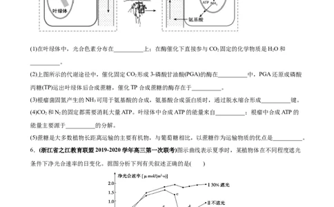 专题04光合作用-2020年高考真题和模拟题生物分项汇编（学生版）_新高考复习资料_2022年新高考复习资料_2022年一轮复习最新版_1.2022年高考生物一轮复习全国通用版