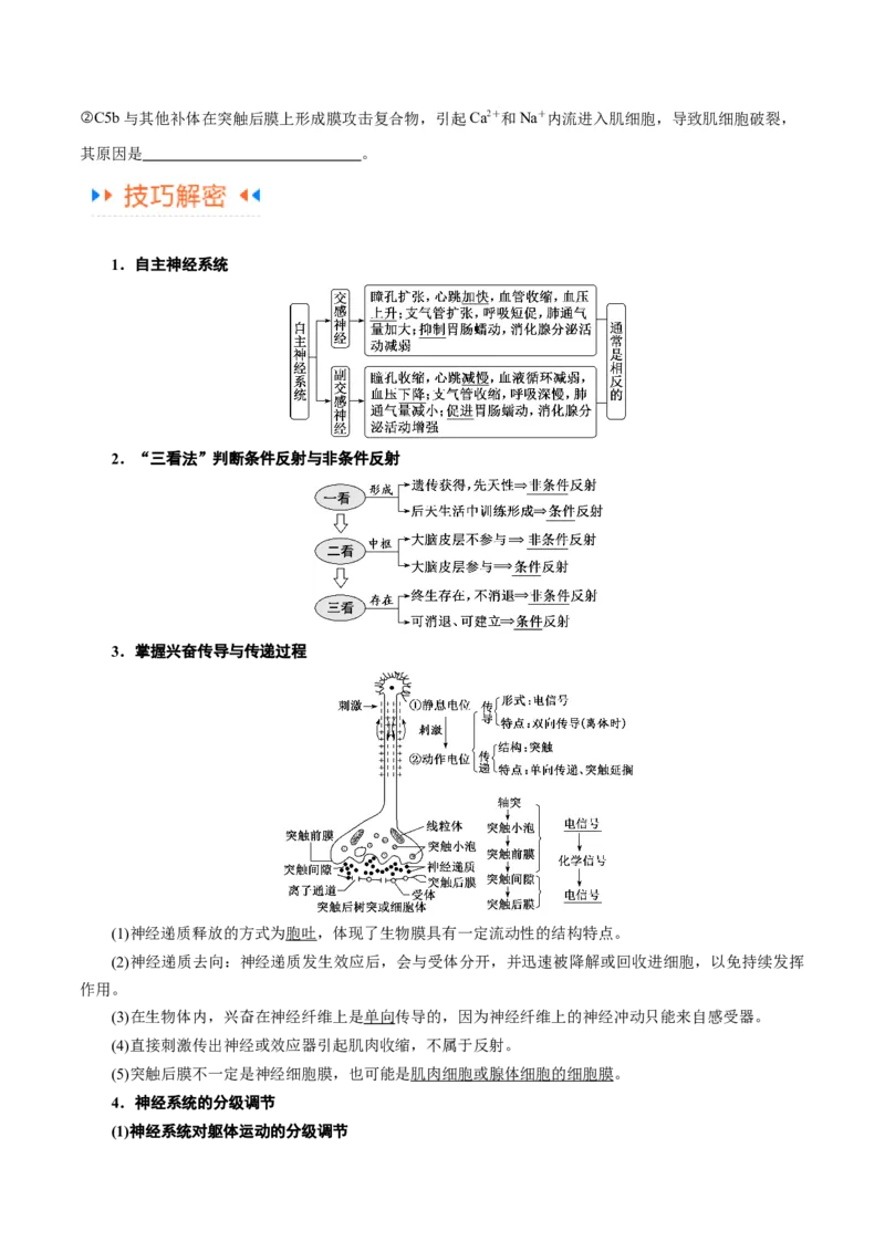 专题07动物生命活动的调节（讲义）（原卷版）_新高考复习资料_2024年新高考复习资料_二轮复习资料_高频考点解密2024年高考生物二轮复习高频考点追踪与预测（新高考专用）_讲义