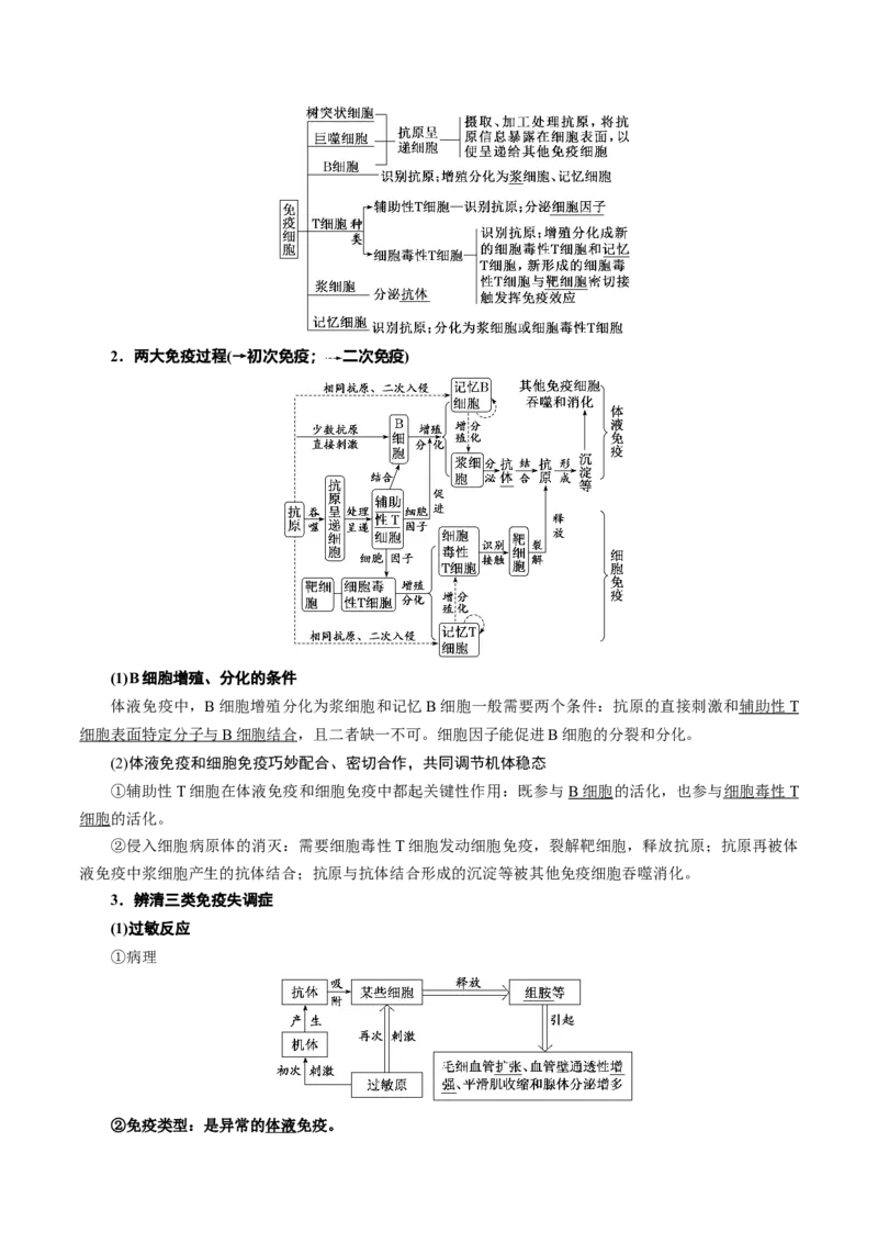 专题07动物生命活动的调节（讲义）（原卷版）_新高考复习资料_2024年新高考复习资料_二轮复习资料_高频考点解密2024年高考生物二轮复习高频考点追踪与预测（新高考专用）_讲义