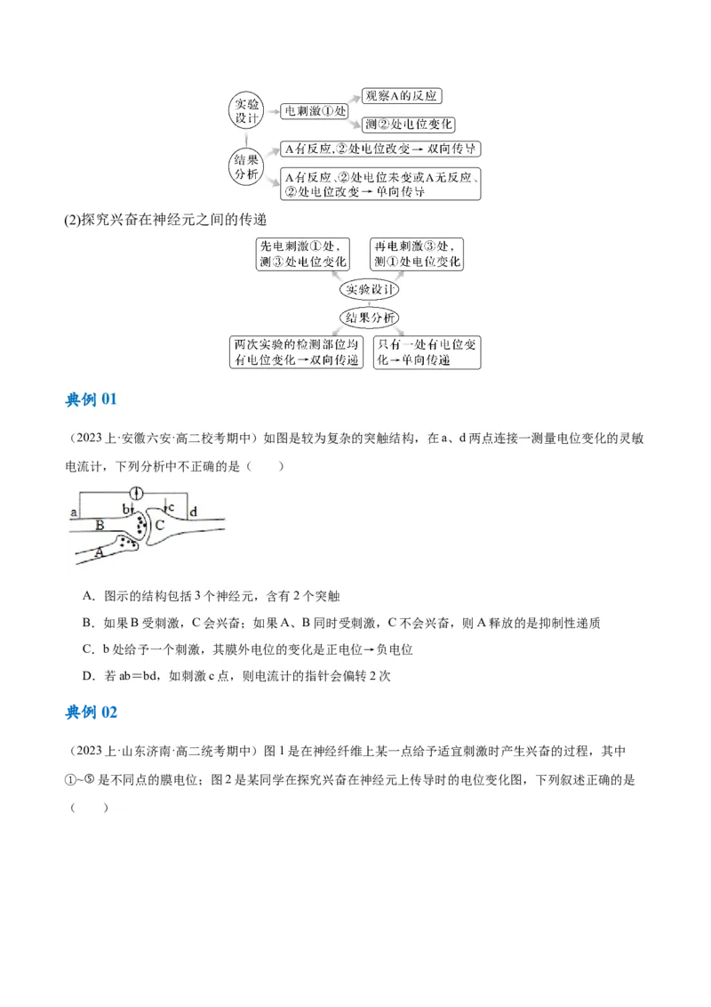 专题07动物生命活动的调节（讲义）（原卷版）_新高考复习资料_2024年新高考复习资料_二轮复习资料_高频考点解密2024年高考生物二轮复习高频考点追踪与预测（新高考专用）_讲义