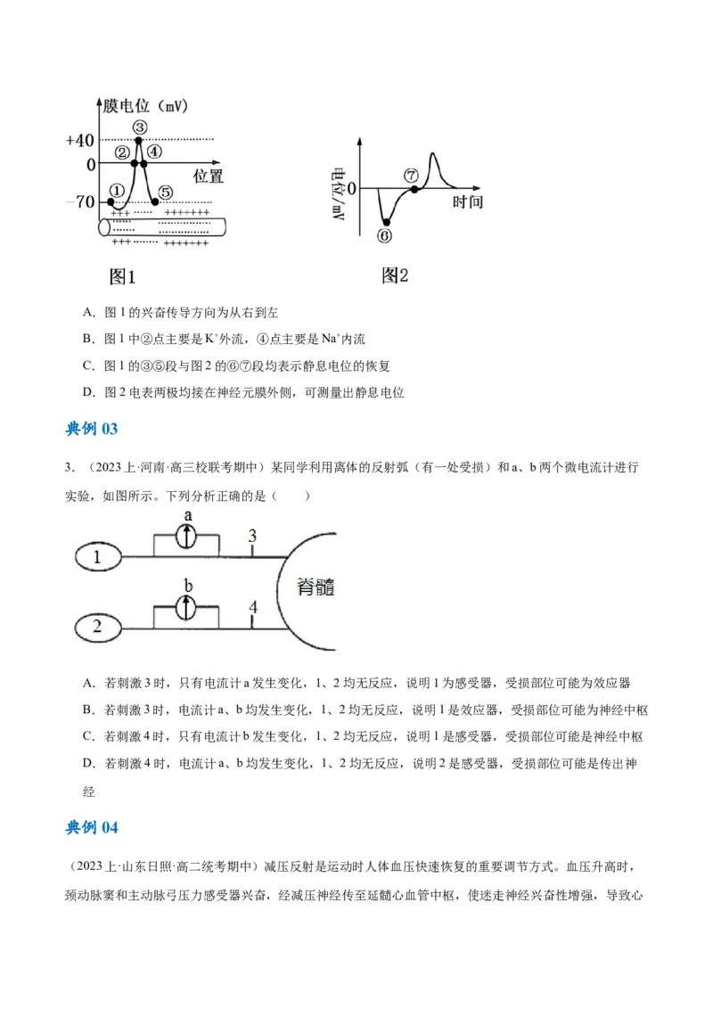 专题07动物生命活动的调节（讲义）（原卷版）_新高考复习资料_2024年新高考复习资料_二轮复习资料_高频考点解密2024年高考生物二轮复习高频考点追踪与预测（新高考专用）_讲义