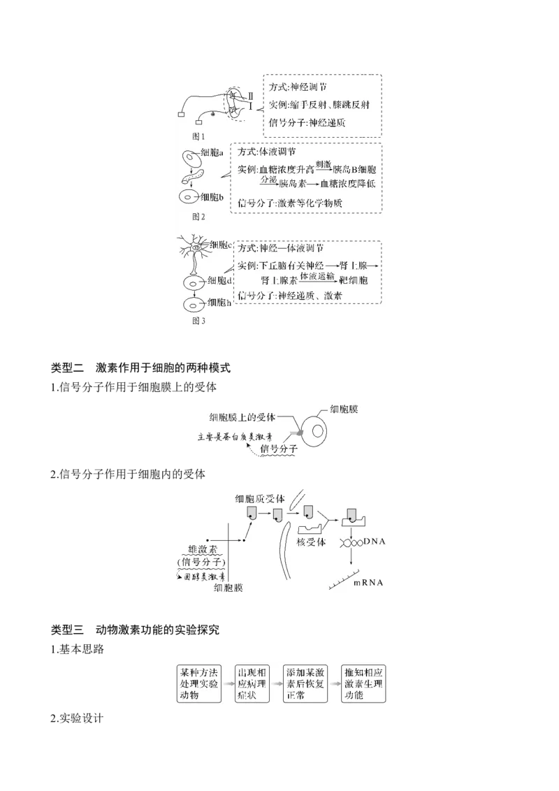 专题07动物生命活动的调节（讲义）（原卷版）_新高考复习资料_2024年新高考复习资料_二轮复习资料_高频考点解密2024年高考生物二轮复习高频考点追踪与预测（新高考专用）_讲义