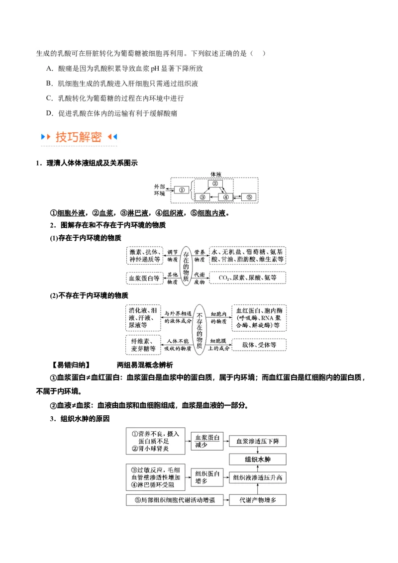 专题07动物生命活动的调节（讲义）（原卷版）_新高考复习资料_2024年新高考复习资料_二轮复习资料_高频考点解密2024年高考生物二轮复习高频考点追踪与预测（新高考专用）_讲义