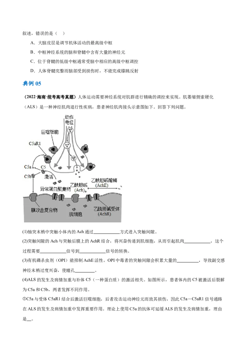 专题07动物生命活动的调节（讲义）（原卷版）_新高考复习资料_2024年新高考复习资料_二轮复习资料_高频考点解密2024年高考生物二轮复习高频考点追踪与预测（新高考专用）_讲义