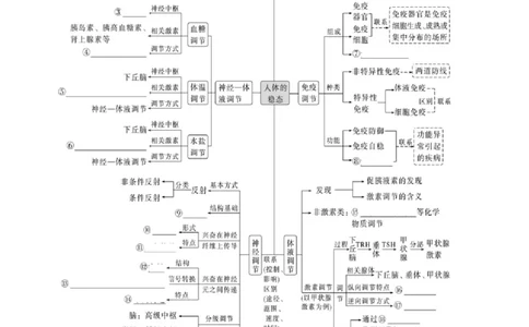 专题07动物生命活动的调节（讲义）（原卷版）_新高考复习资料_2024年新高考复习资料_二轮复习资料_高频考点解密2024年高考生物二轮复习高频考点追踪与预测（新高考专用）_讲义