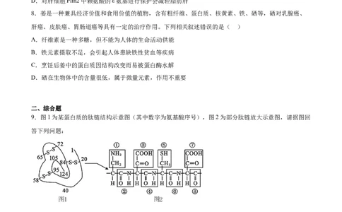 考点通关卷04蛋白质和核酸（原卷版）_2024年新高考资料_1.2024一轮复习_2024年高考生物一轮复习考点通关卷（新高考通用）_考点通关卷04+蛋白质和核酸-2024年高考生物一轮复习考点通关卷