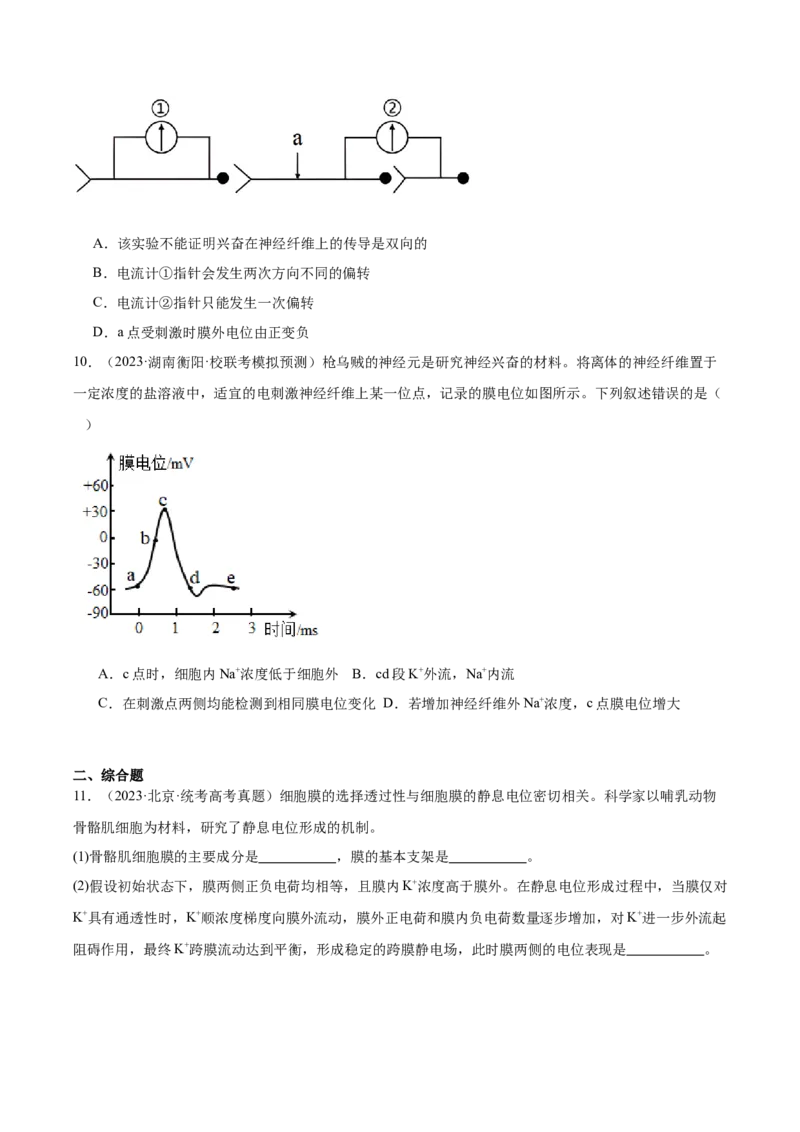 考点通关卷26神经调节（原卷版）_2024年新高考资料_1.2024一轮复习_2024年高考生物一轮复习考点通关卷（新高考通用）_考点通关卷26+神经调节-2024年高考生物一轮复习考点通关卷