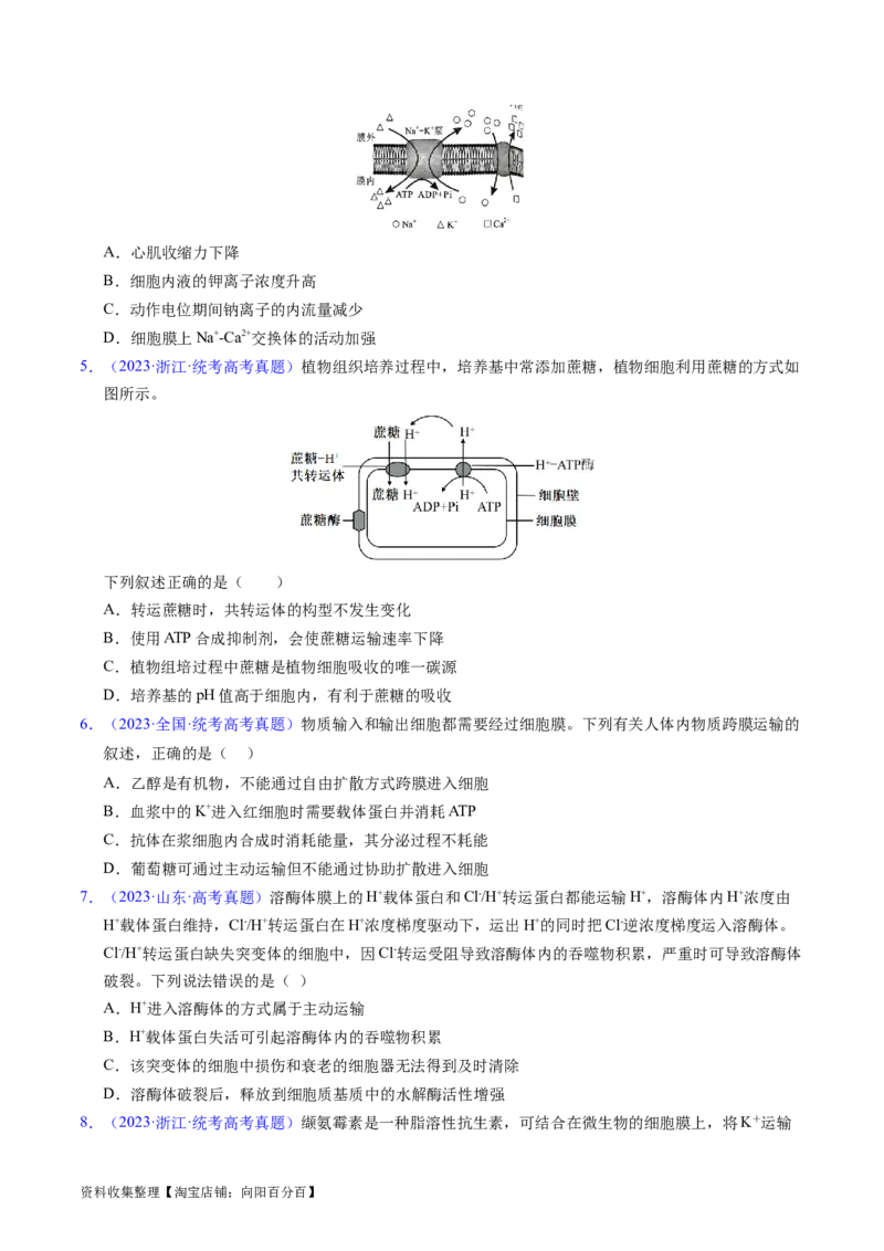 专题03物质运输-学易金卷：五年（2019-2023）高考生物真题分项汇编（全国通用）（原卷版）_通用版（老高考）复习资料_2024年复习资料