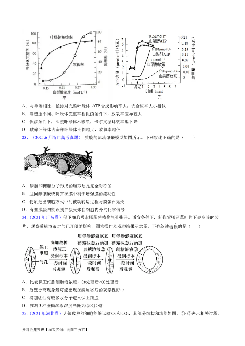 专题03物质运输-学易金卷：五年（2019-2023）高考生物真题分项汇编（全国通用）（原卷版）_通用版（老高考）复习资料_2024年复习资料