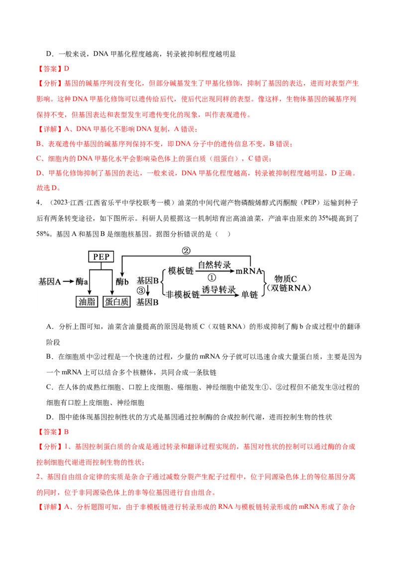 考点通关卷22基因的表达、基因与性状的关系（解析版）_2024年新高考资料_1.2024一轮复习_2024年高考生物一轮复习考点通关卷（新高考通用）