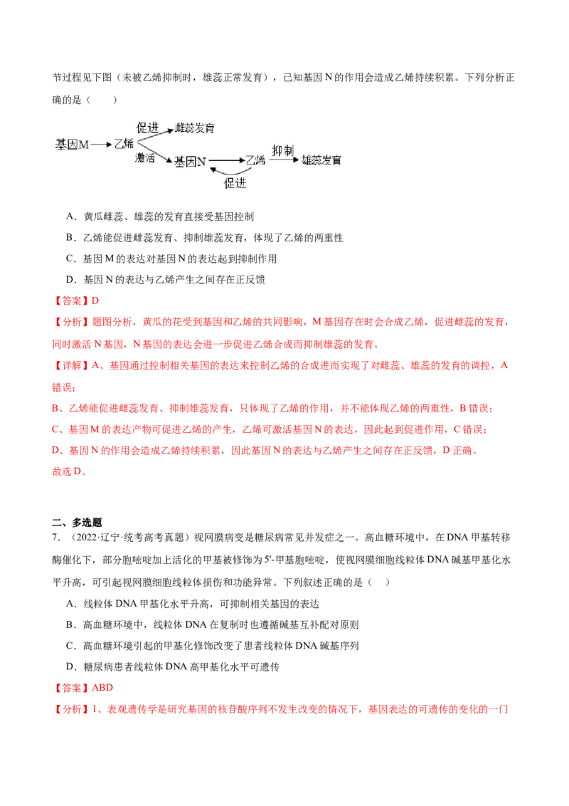 考点通关卷22基因的表达、基因与性状的关系（解析版）_2024年新高考资料_1.2024一轮复习_2024年高考生物一轮复习考点通关卷（新高考通用）