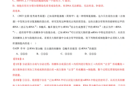 考点通关卷22基因的表达、基因与性状的关系（解析版）_2024年新高考资料_1.2024一轮复习_2024年高考生物一轮复习考点通关卷（新高考通用）