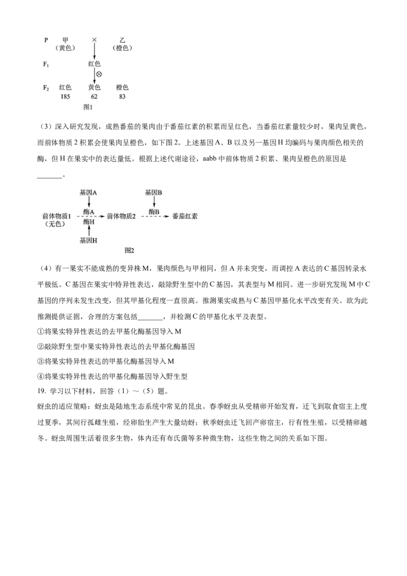 2022年高考生物试卷（北京）（空白卷）_北京市高考历年真题_生物