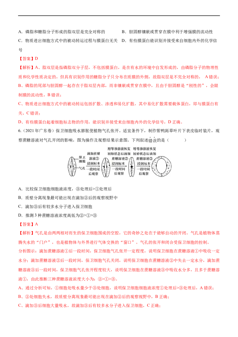 专题03细胞的物质输入和输出（练）-2023年高考生物二轮复习讲练测（全国通用）（解析版）_通用版（老高考）复习资料_2023年复习资料_二轮复习