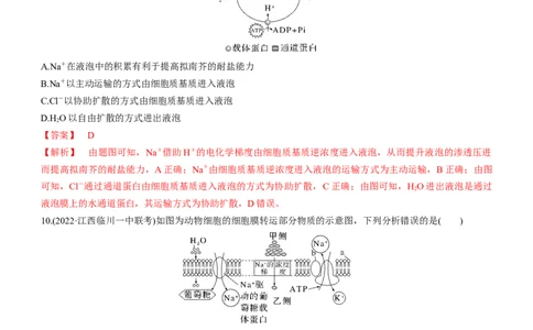 专题03细胞的物质输入和输出（练）-2023年高考生物二轮复习讲练测（全国通用）（解析版）_通用版（老高考）复习资料_2023年复习资料_二轮复习
