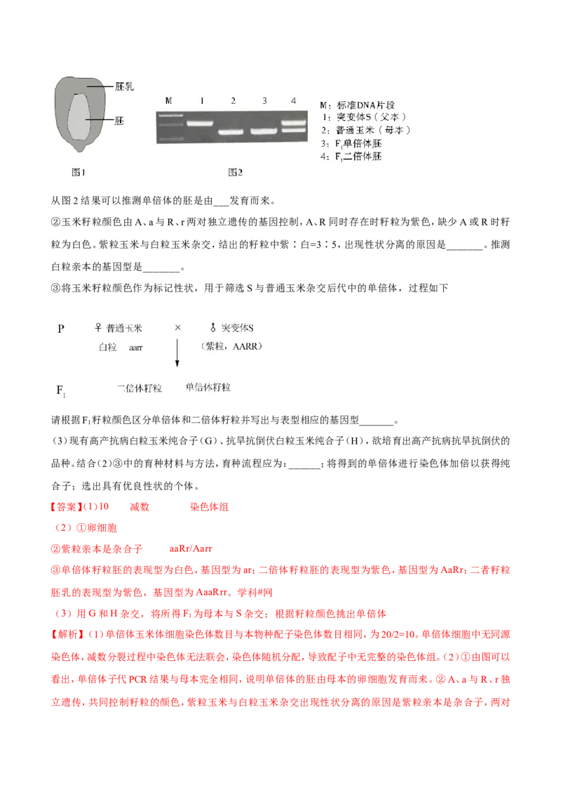专题07生物的变异与进化-备战2019年高考生物之纠错笔记系列（解析版）_新高考复习资料_2022年新高考复习资料_2022年一轮复习最新版_1.2022年高考生物一轮复习全国通用版