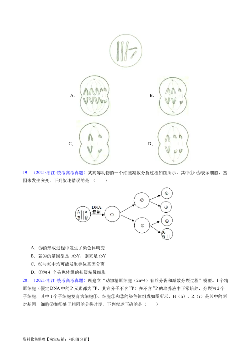 专题06有丝分裂和减数分裂-学易金卷：五年（2019-2023）高考生物真题分项汇编（全国通用）（原卷版）_通用版（老高考）复习资料_2024年复习资料
