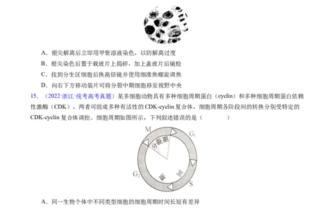 专题06有丝分裂和减数分裂-学易金卷：五年（2019-2023）高考生物真题分项汇编（全国通用）（原卷版）_通用版（老高考）复习资料_2024年复习资料