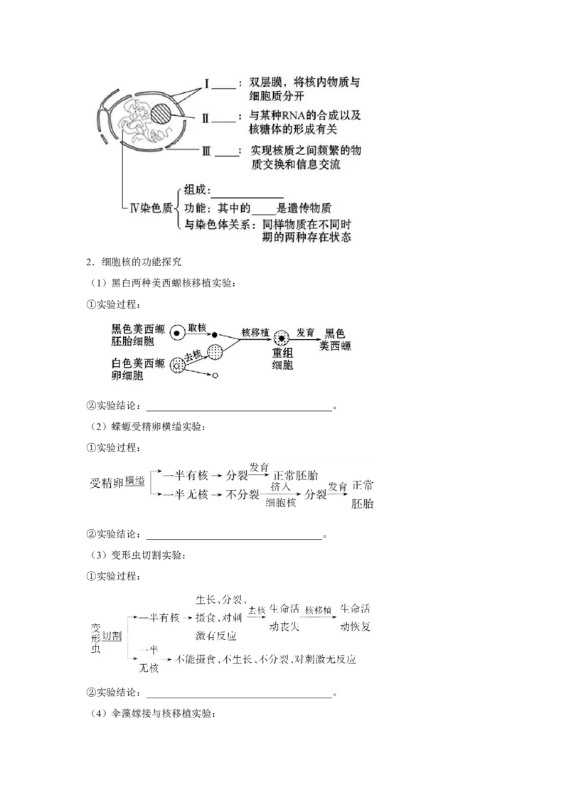 专题04细胞膜与细胞核(教师版)_新高考复习资料_2023年新高考复习资料_二轮复习_增分要点2023高考生物二轮复习专题解读和分层训练291073137
