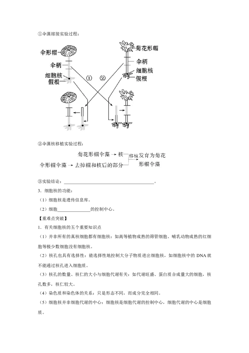 专题04细胞膜与细胞核(教师版)_新高考复习资料_2023年新高考复习资料_二轮复习_增分要点2023高考生物二轮复习专题解读和分层训练291073137