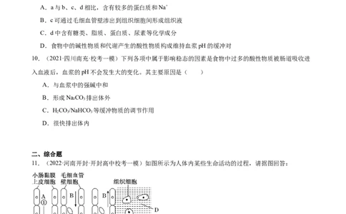 考点通关卷25内环境与稳态（原卷版）_2024年新高考资料_1.2024一轮复习_2024年高考生物一轮复习考点通关卷（新高考通用）_考点通关卷25+内环境与稳态-2024年高考生物一轮复习考点通关卷