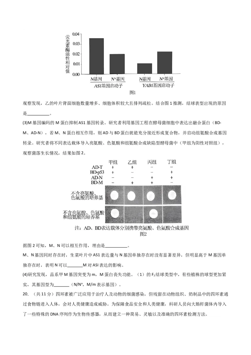 黄金卷01（考试版）-赢在高考&middot;黄金8卷备战2024年高考生物模拟卷（北京专用）_2024年新高考资料_4.2024高考模拟预测试卷