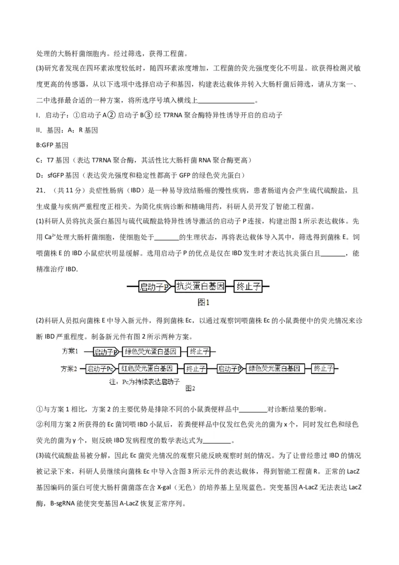 黄金卷01（考试版）-赢在高考&middot;黄金8卷备战2024年高考生物模拟卷（北京专用）_2024年新高考资料_4.2024高考模拟预测试卷
