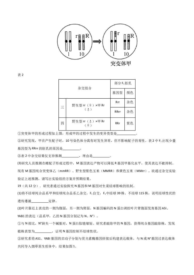 黄金卷01（考试版）-赢在高考&middot;黄金8卷备战2024年高考生物模拟卷（北京专用）_2024年新高考资料_4.2024高考模拟预测试卷