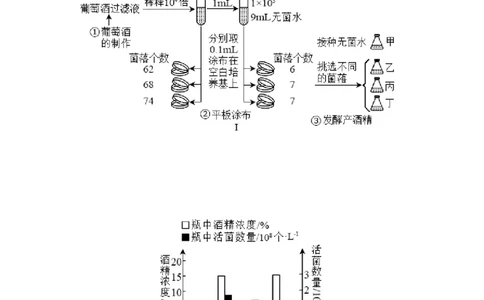 黄金卷01（考试版）-赢在高考&middot;黄金8卷备战2024年高考生物模拟卷（北京专用）_2024年新高考资料_4.2024高考模拟预测试卷