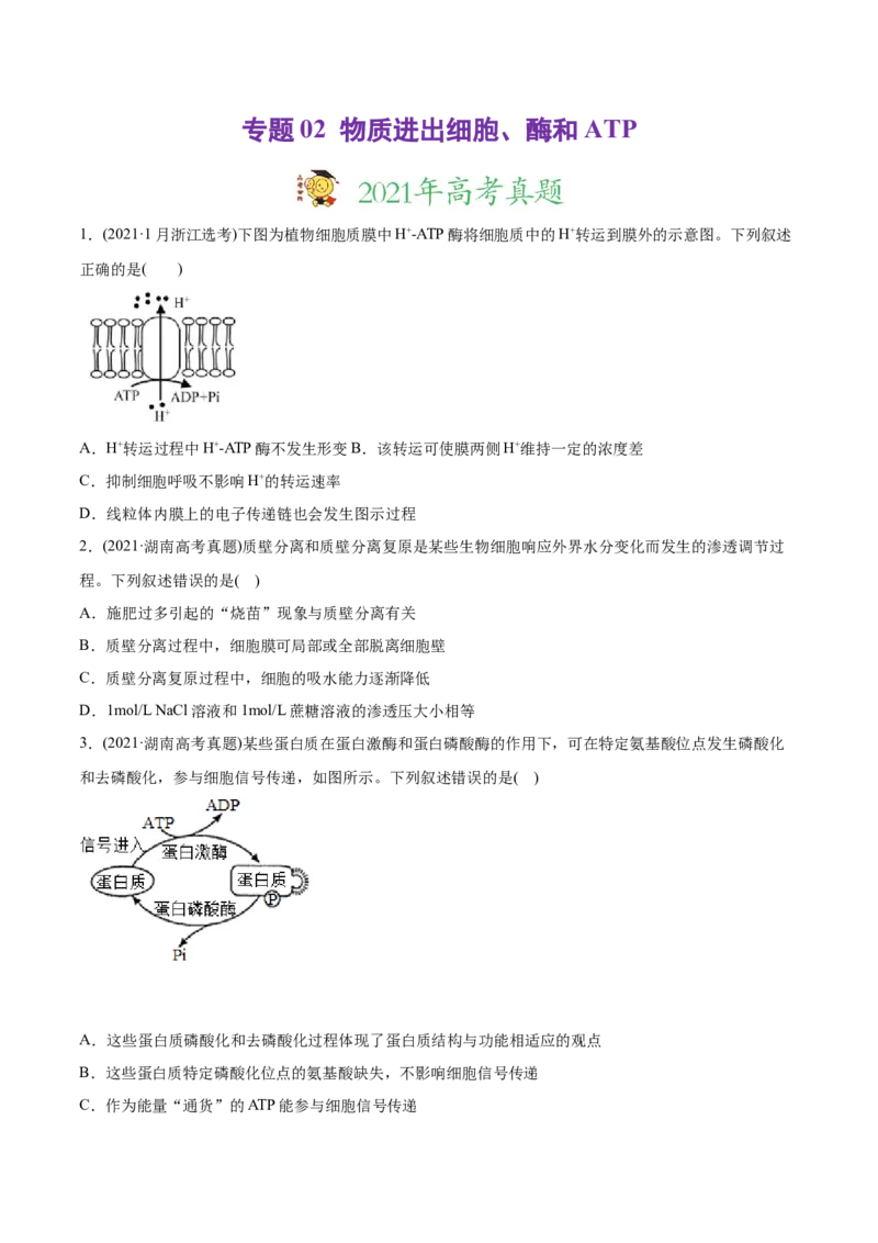 专题02物质进出细胞、酶和ATP-2021年高考生物真题与模拟题分类训练（学生版）_新高考复习资料_2023年新高考复习资料_一轮复习_2023年新高考大一轮复习讲义