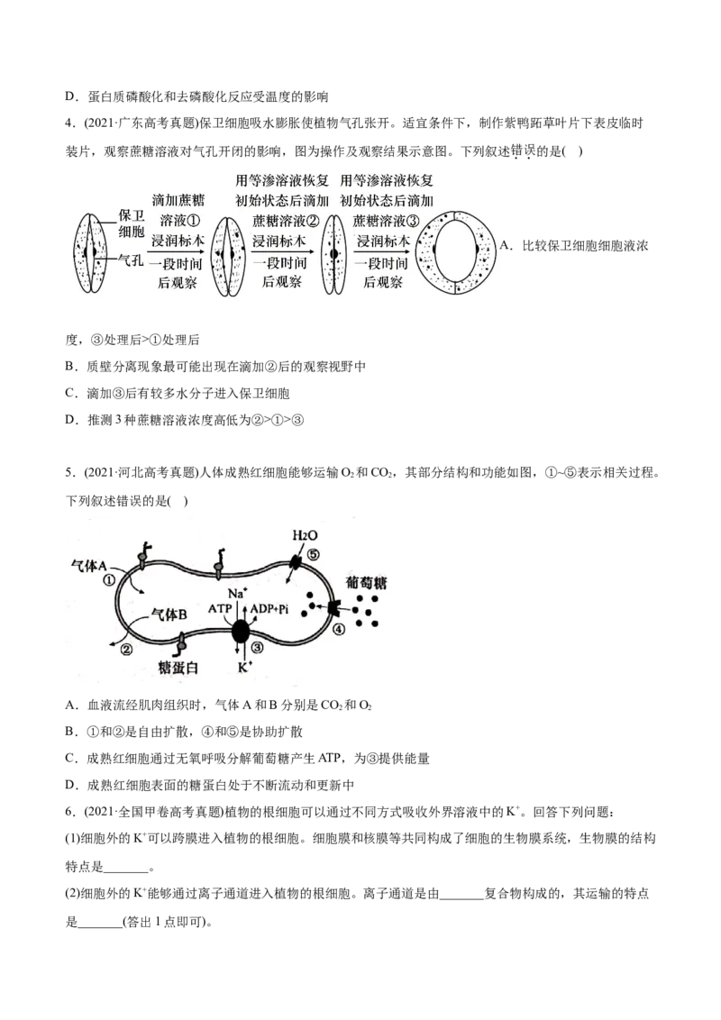 专题02物质进出细胞、酶和ATP-2021年高考生物真题与模拟题分类训练（学生版）_新高考复习资料_2023年新高考复习资料_一轮复习_2023年新高考大一轮复习讲义