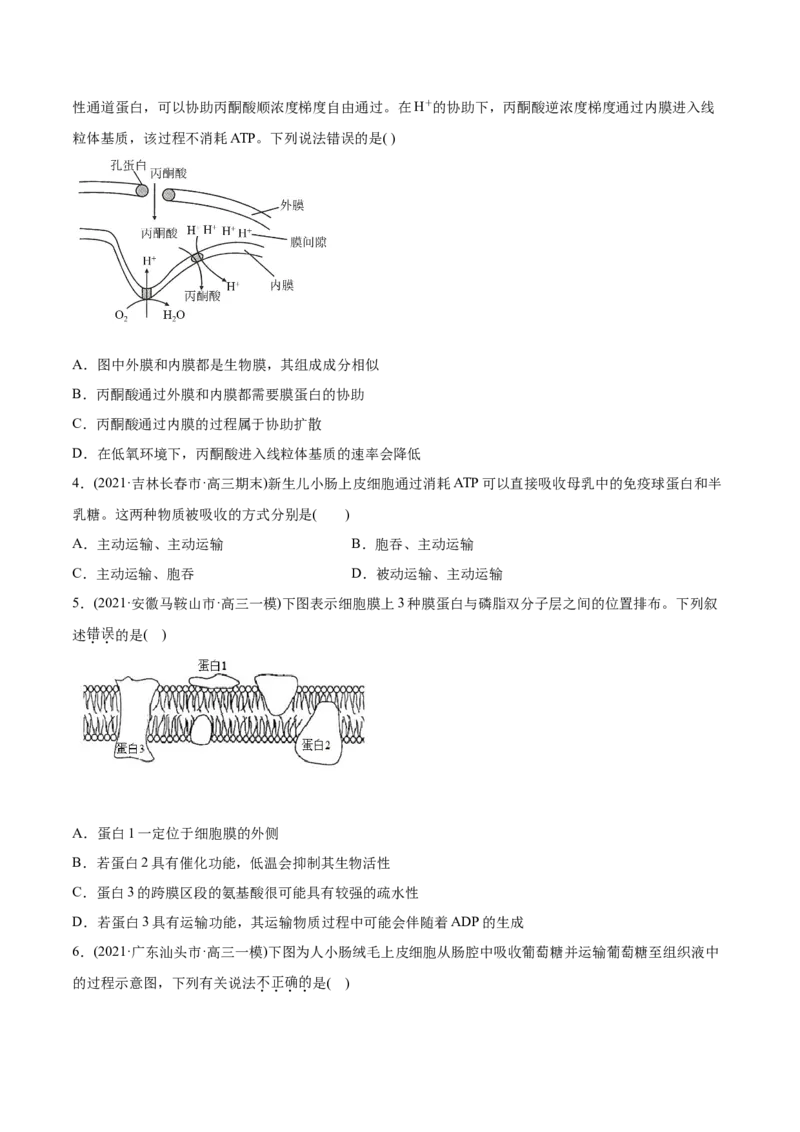 专题02物质进出细胞、酶和ATP-2021年高考生物真题与模拟题分类训练（学生版）_新高考复习资料_2023年新高考复习资料_一轮复习_2023年新高考大一轮复习讲义
