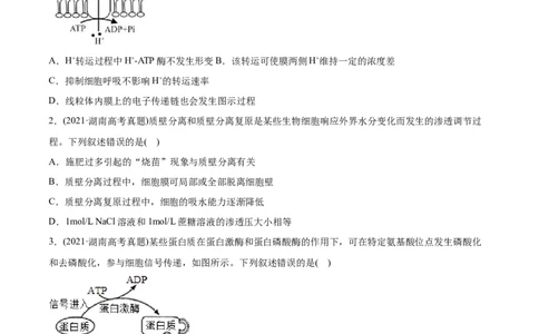 专题02物质进出细胞、酶和ATP-2021年高考生物真题与模拟题分类训练（学生版）_新高考复习资料_2023年新高考复习资料_一轮复习_2023年新高考大一轮复习讲义